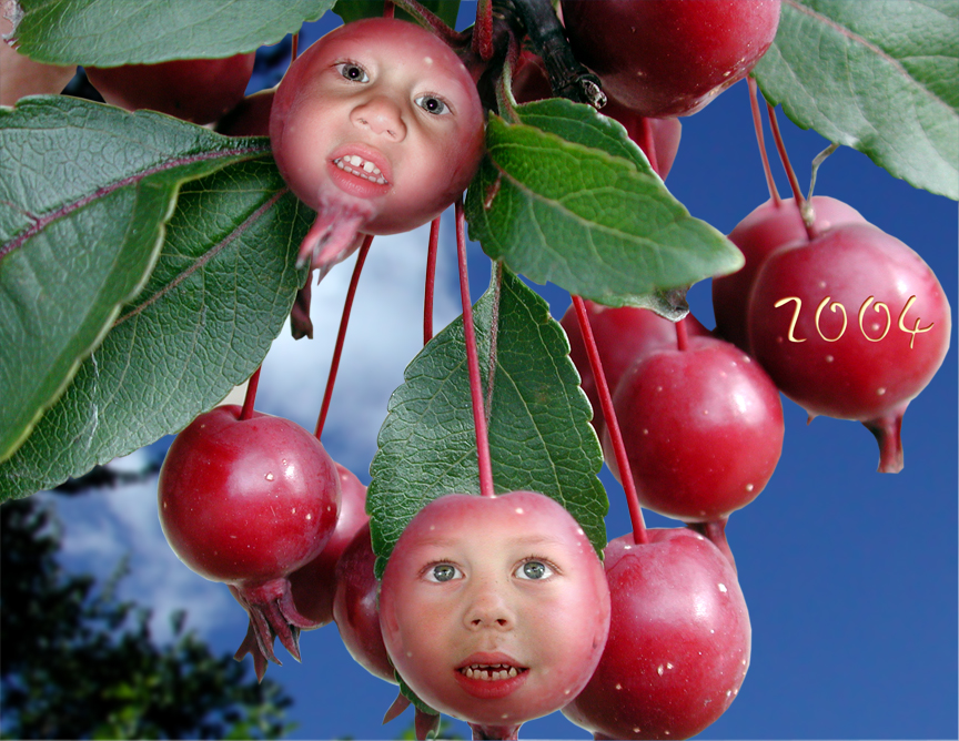 gal/1999 - 2013 Calendars/200400_cover.jpg